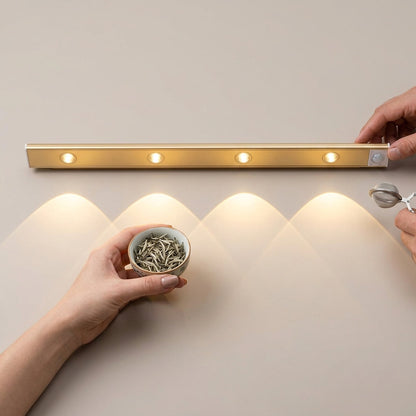 Motion Sensor LED Light
